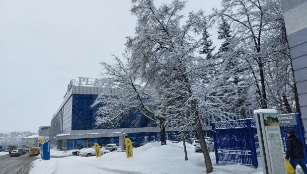 Снегопад в Барнауле.