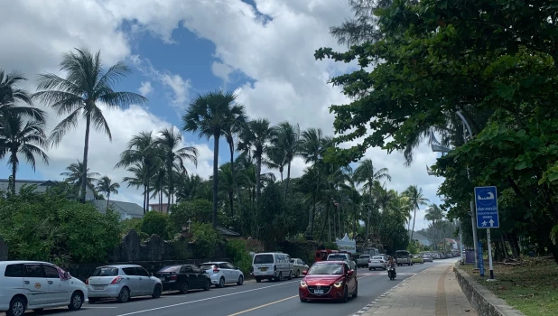 Дорога. Лето. Поездка.