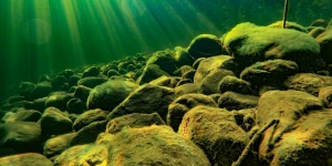 Прозрачная вода Телецкого озера.