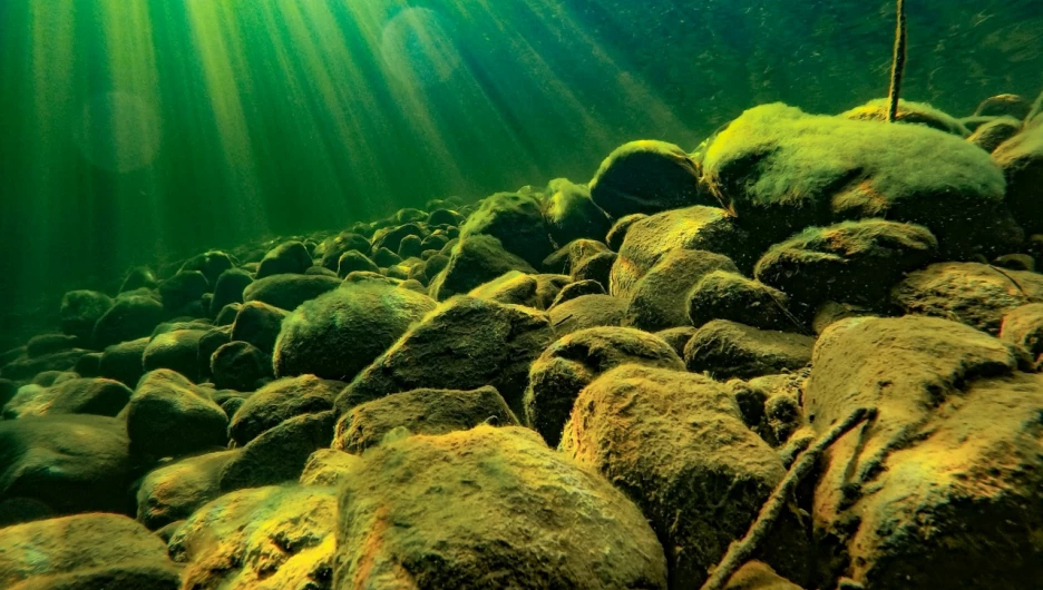 Прозрачная вода Телецкого озера.