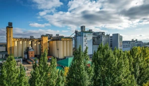 Компания «Алейскзернопродукт».
