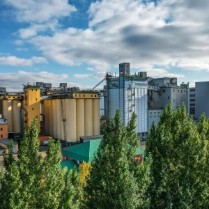 Компания «Алейскзернопродукт».
