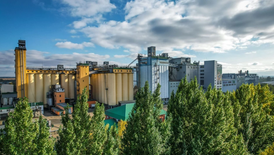 Компания «Алейскзернопродукт».
