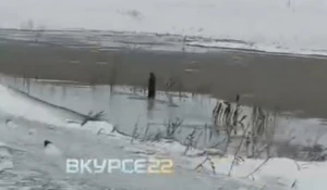 Река Панчиха в Павловском районе. 