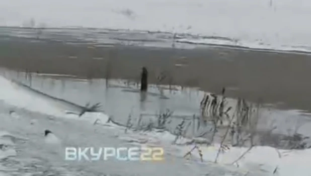 Река Панчиха в Павловском районе. 