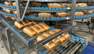 Завод «Аксоид».