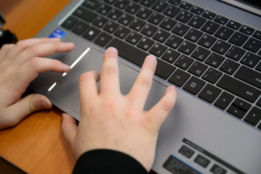 Ребенок за ноутбуком. 