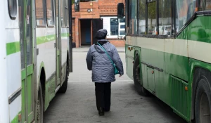 Автобусы и женщина, прохожая. 