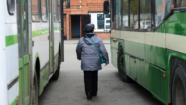 Автобусы и женщина, прохожая. 