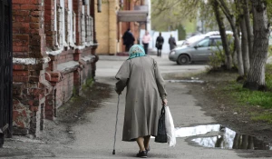 Бабушка, пенсионерка, пожилая женщина. 