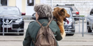 Собака на руках. 