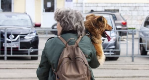 Собака на руках. 