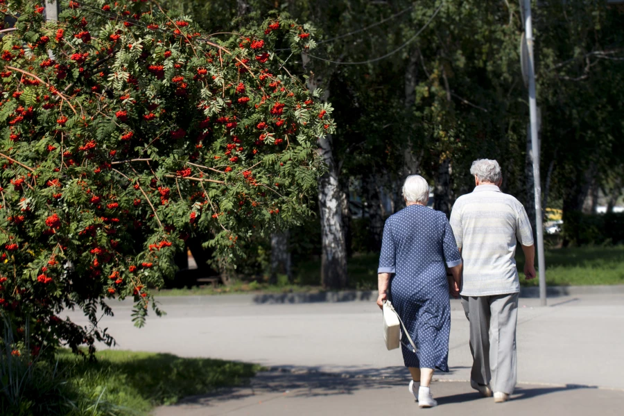 Пожилая пара. 