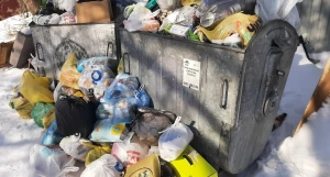 Мусорные баки переполнены.