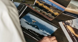 Больше чем принты: коллаборация Alpalazone и Александра Проваторова.