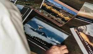 Больше чем принты: коллаборация Alpalazone и Александра Проваторова.