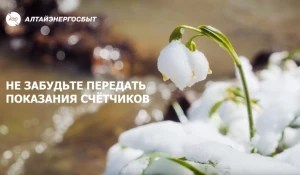 «Алтайэнергосбыт» рекомендует передавать показания электросчетчика ежемесячно с 20-го по 25-е число расчетного месяца.