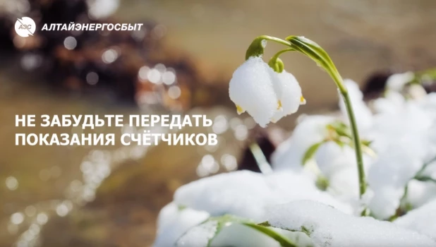 «Алтайэнергосбыт» рекомендует передавать показания электросчетчика ежемесячно с 20-го по 25-е число расчетного месяца.