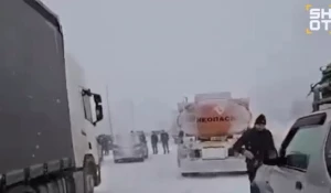 Метель в Уссурийске.