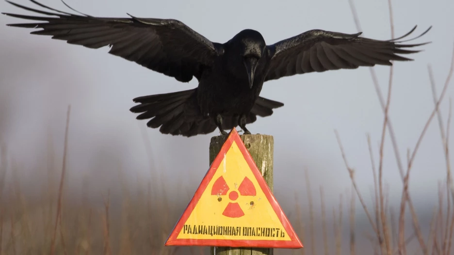 Чернобыль.