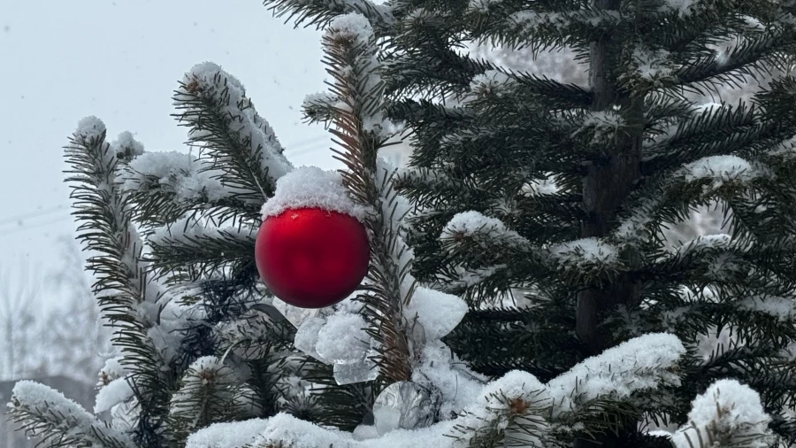 Барнаул. Снегопад