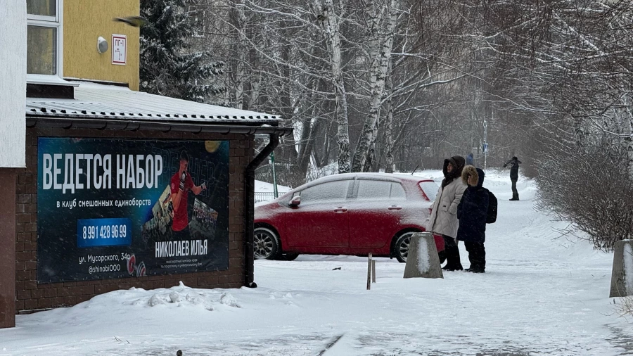 Барнаул. Снегопад