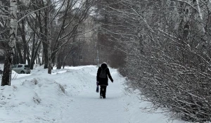 Барнаул. Снегопад