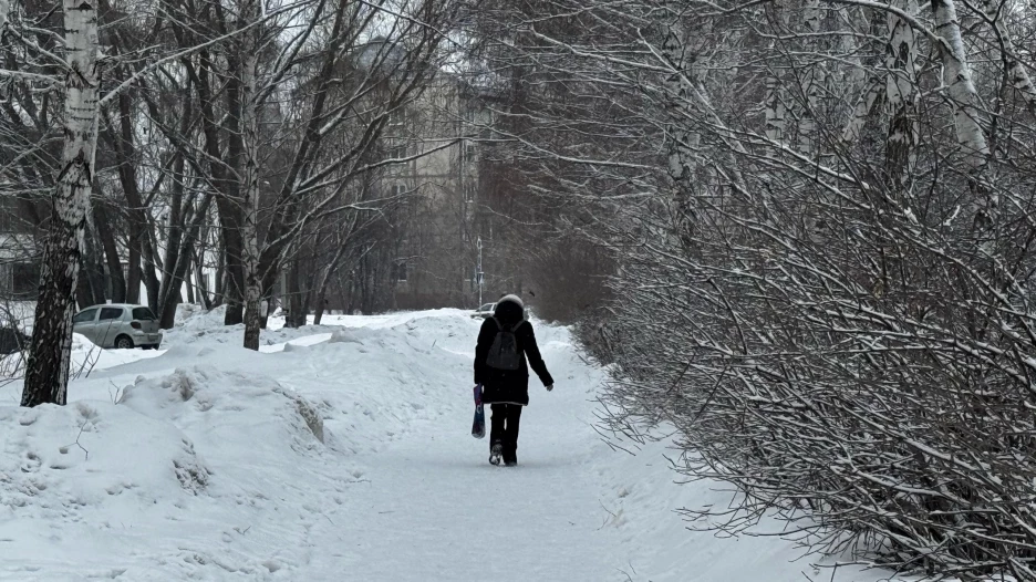 Барнаул. Снегопад