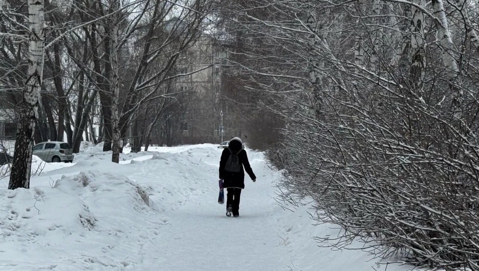 Барнаул. Снегопад