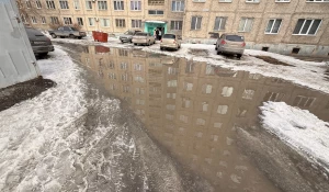 Лужа на ул. Георгия Исакова, 253.