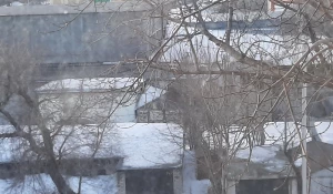 Гаражи. Двор ул. Кулагина, 4 и пр. Калинина, 22