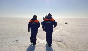 Поиски пропавших детей в Ульяновске.