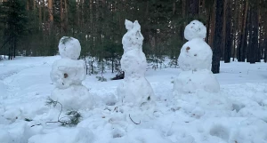 Снеговики в марте.