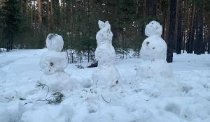 Снеговики в марте.