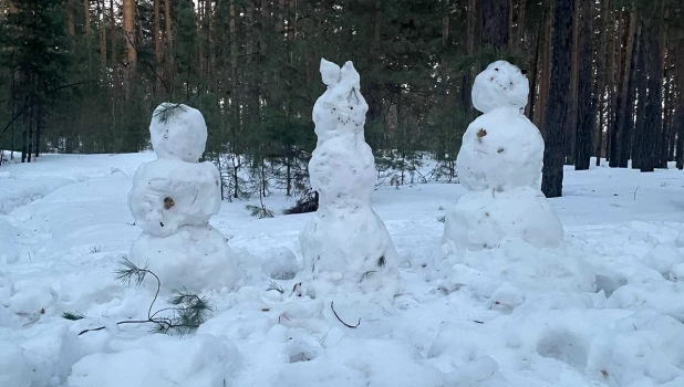 Снеговики в марте.