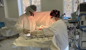 Лечение пациентов с болезнями почек в Краевой клинической больнице.