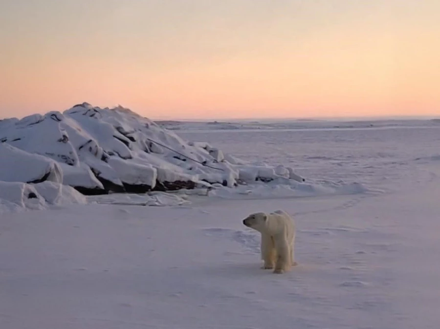 Самая северная базовая станция, поселок Диксон, Таймыр, Красноярский край.