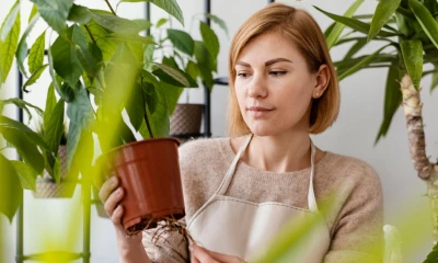 Не мусор, а удобрение: как использовать кожуру, гущу и шелуху в хозяйстве