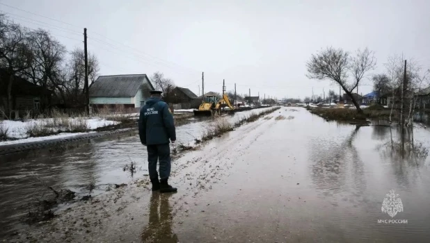 Паводок в Алтайском крае.
