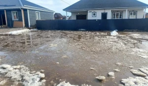 Подтопление в Хомутовском районе.