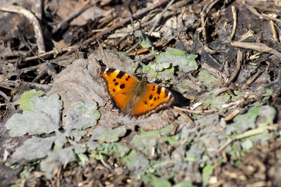 Барнаул 31 марта. 