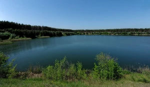 Более 70 тысяч мальков за шесть лет выпустил Алтай-Кокс в водные объекты Алтайского края.