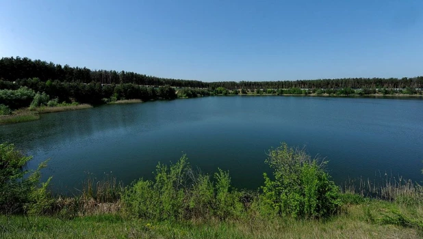 Более 70 тысяч мальков за шесть лет выпустил Алтай-Кокс в водные объекты Алтайского края.