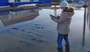 Михайловский район во время паводка в Алтайском крае.