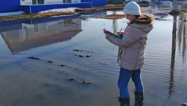 Михайловский район во время паводка в Алтайском крае.