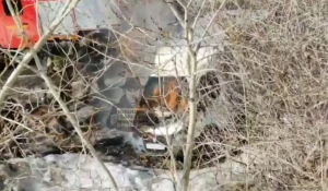 Горящая «Газель» в Барнауле.