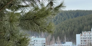 Белокуриха