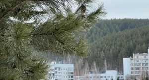 Белокуриха