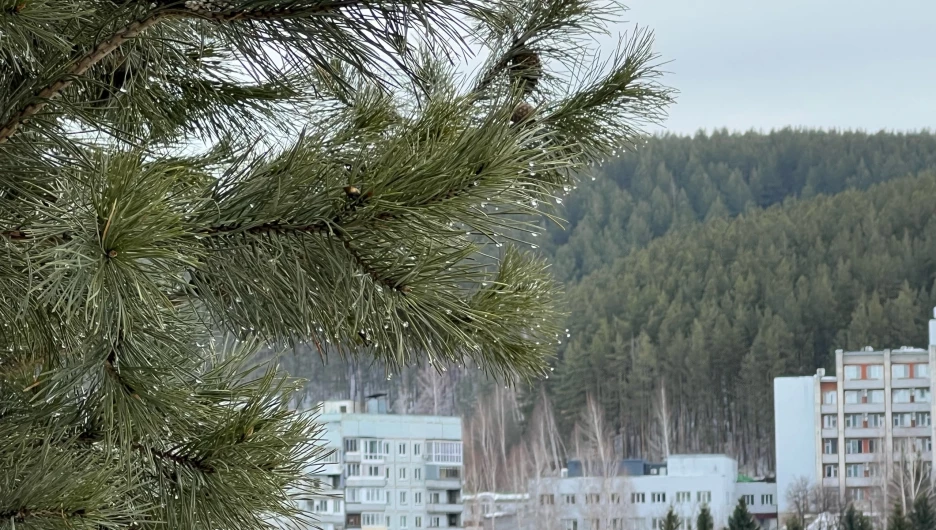 Белокуриха