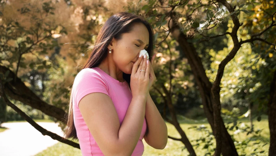 Цветение деревьев.